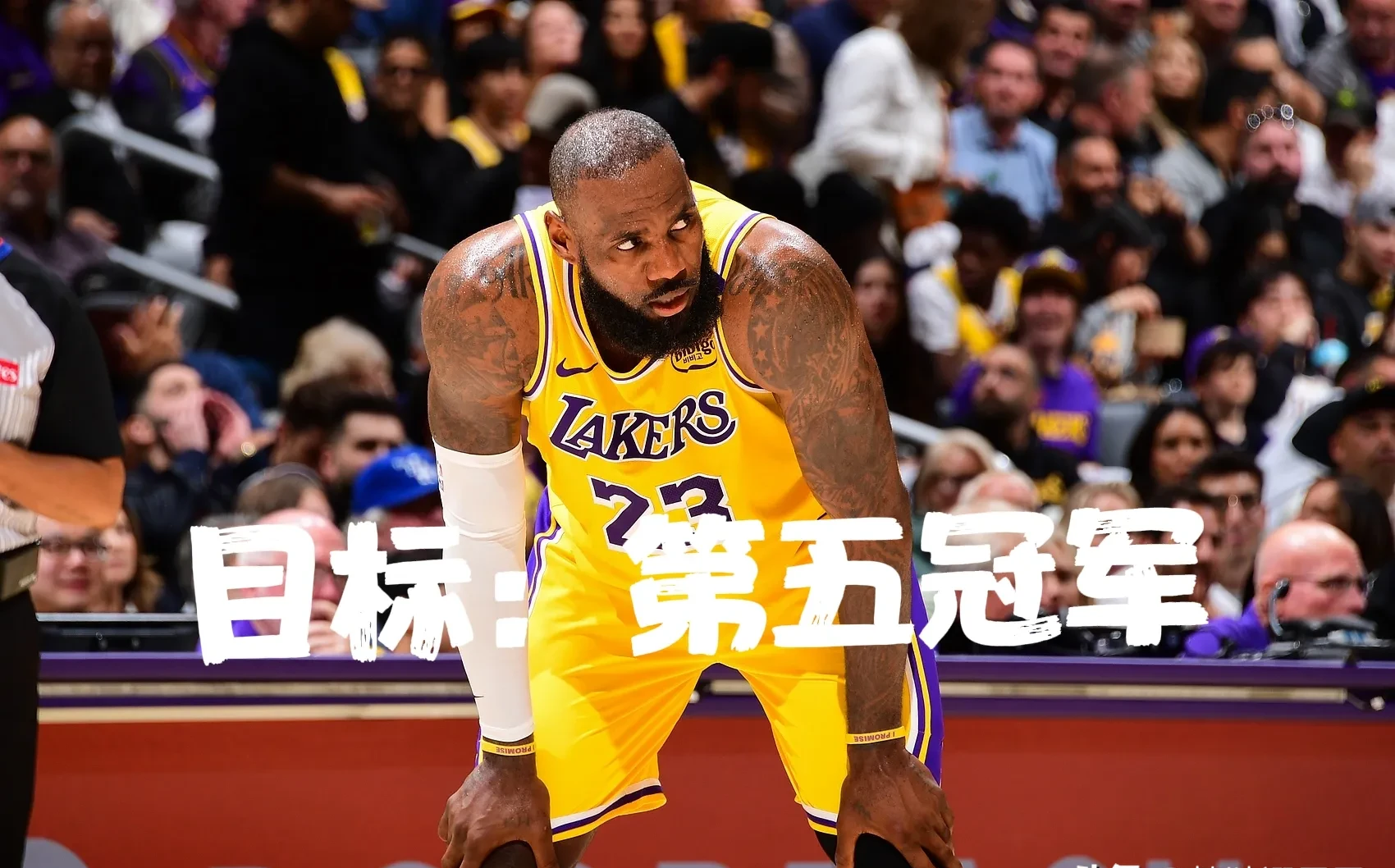詹姆斯回归赛场，战术调整首场状态亮眼，西班牙队观众沸腾！的简单介绍